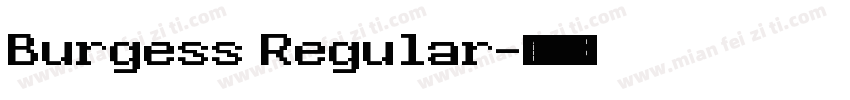Burgess Regular字体转换